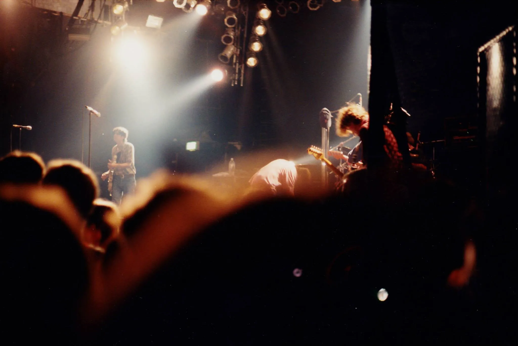 Gin Blossoms